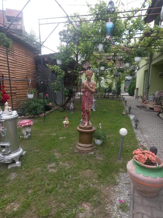 Casa Elena Apartman Segesvár Kültér fotó