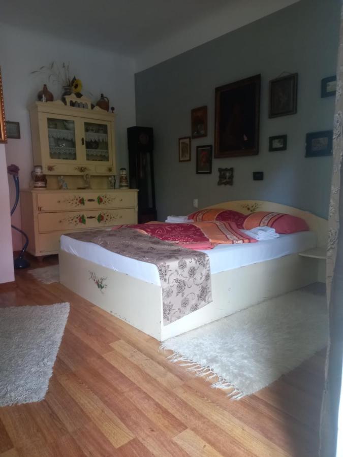 Casa Elena Apartman Segesvár Kültér fotó