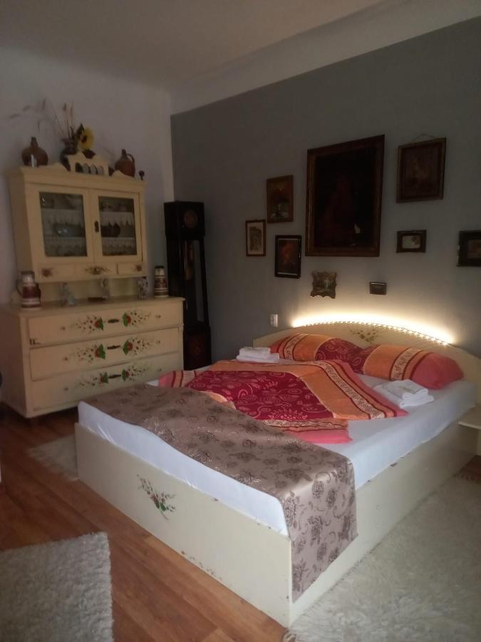Casa Elena Apartman Segesvár Kültér fotó